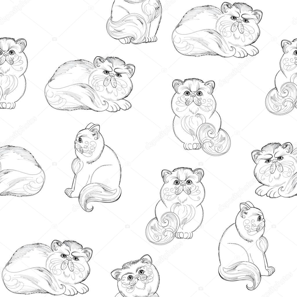 White seamless pattern with hand drawn cute persian cats.