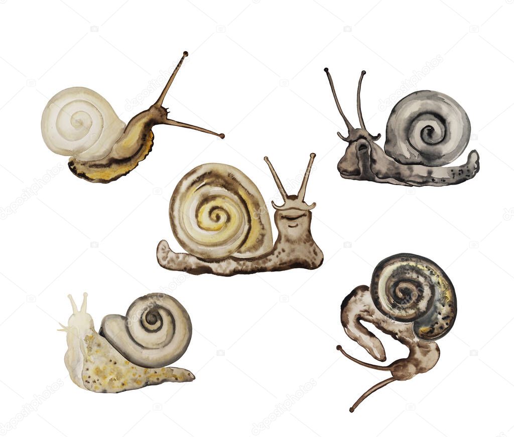 Garden snails collection of watercolor sketches on a white background.