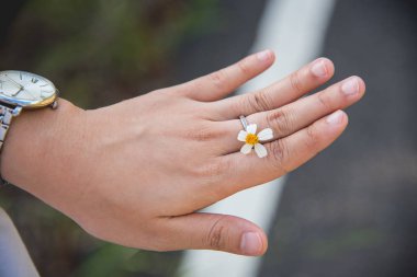 papatya çiçek tutan kız el