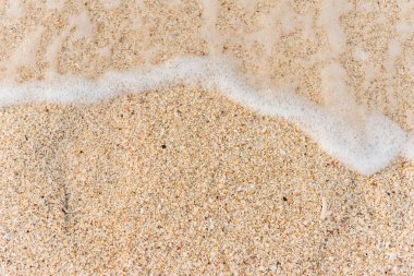 deniz kumsalı arka planı