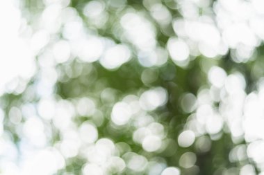 bokeh aydınlatma arka plan kavramı