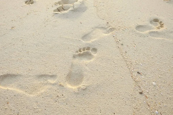 Voetafdruk Het Strand Aan Zee — Stockfoto