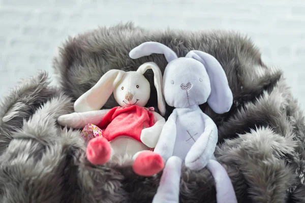 couple rabbits doll, love concept