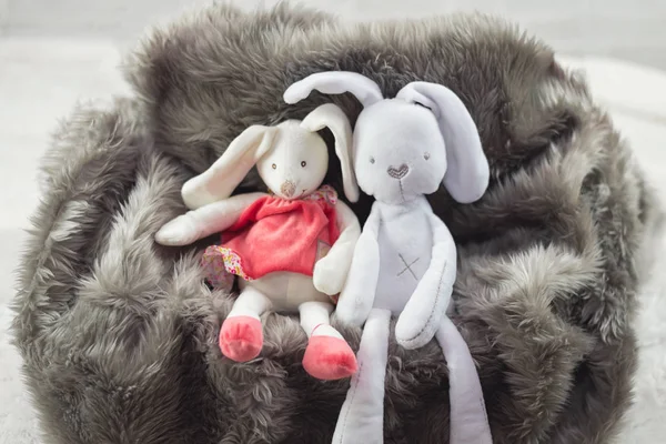 couple rabbits doll, love concept