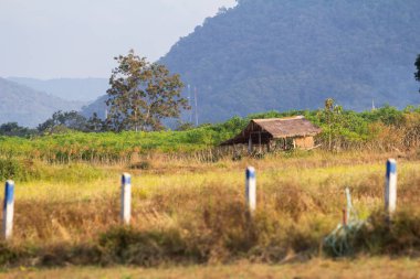 akşam dağ ve ağaç manzara