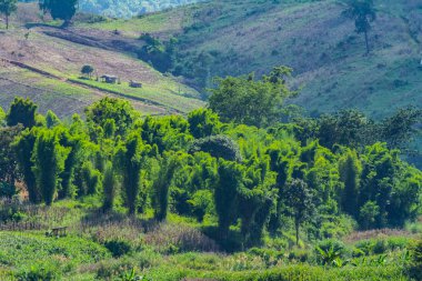 Dağ mavisi gökyüzü ve Chiang rai bulutu. Tayland