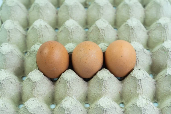 Brązowe Jaja Izolowane Białym Tle — Zdjęcie stockowe