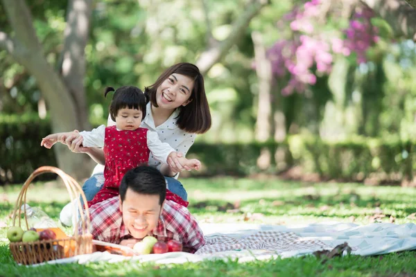 公園でピクニック中に芝生の上に座っている幸せな家族 家族の概念 — ストック写真