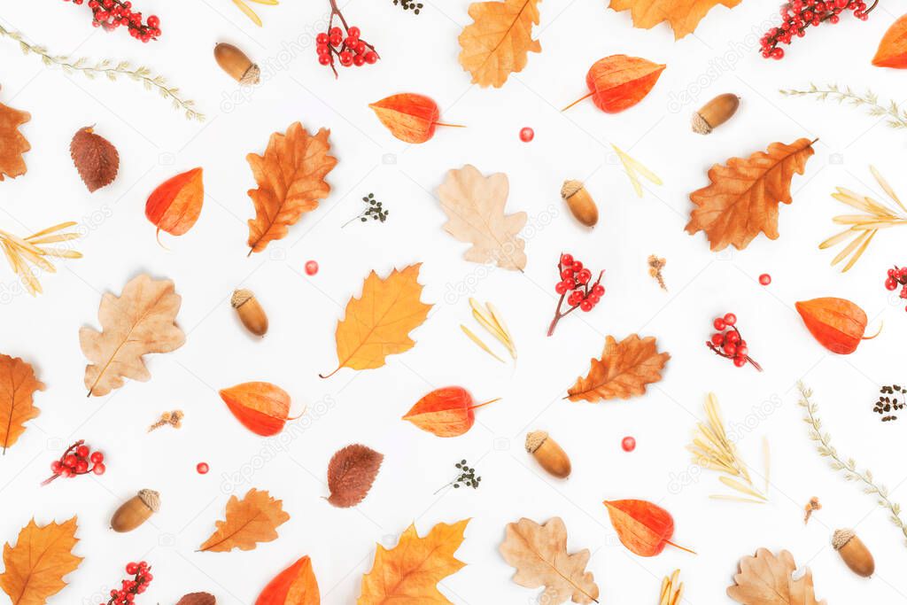 Autumn composition. Pattern made of autumn leaves, acorns, berries on white background. Flat lay, top view