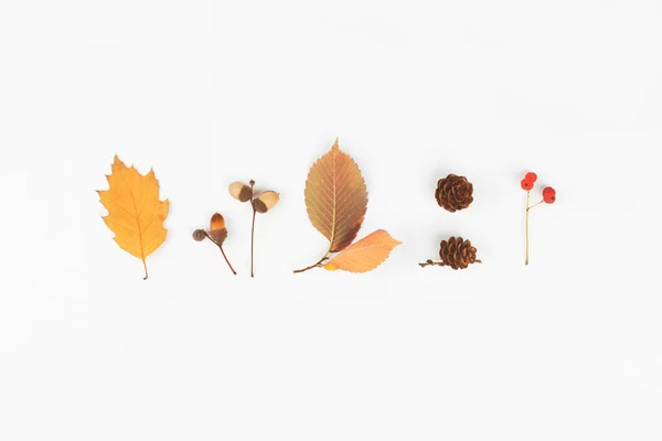 Autumn Composition Cones Acorns Berries Leaves White Background Flat Lay — Stock Photo, Image