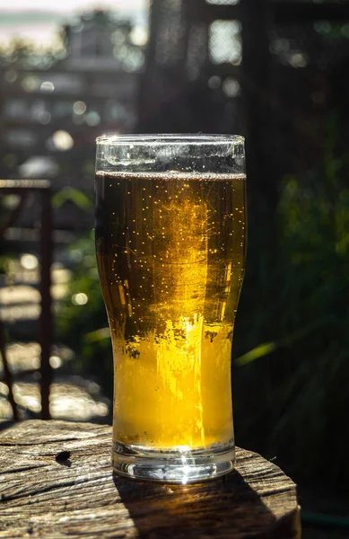 Bicchiere Birra Trova Tavolo Legno Alla Luce Del Sole — Foto Stock