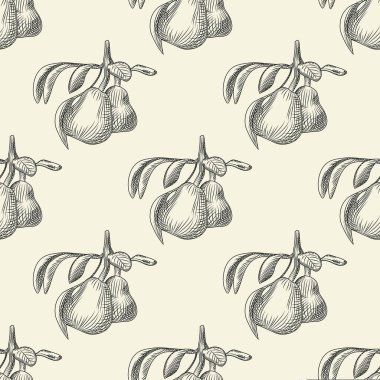 Elle çizilmiş armutsuz desen. Armut meyveli duvar kağıdı. Klasik oyma tarzı arka plan. Ambalaj kağıdı ve tekstil baskısı için tasarlanmış. Vektör illüstrasyonu