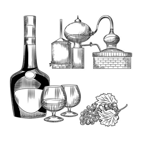 Beyaz arkaplanda elle çizilmiş konyak seti. Bir şişe konyak, içki, bir demet üzüm, alembik. Bar menüsü tasarımı için element. Alkol mürekkebi. Oyma vintage izole vektör illüstrasyonu.