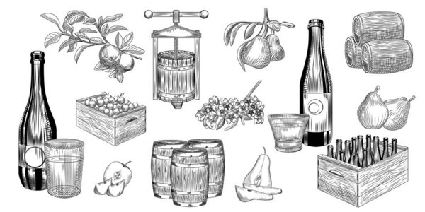 Set of pear and apple cider. Harvest pears, apples, press, barrel, glass and cider bottle. Hand drawn craft fruit beer collection. Engraving vintage style. Vector illustration.
