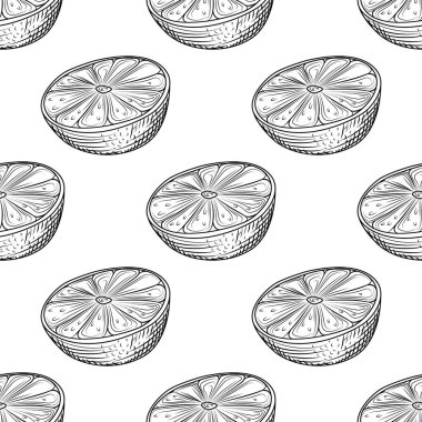 Beyaz arka planda elle çizilmiş kireç dilimleri var. Limonlu turunçgil duvar kağıdı. Gravür tarzı arka plan. Ambalaj kağıdı ve tekstil baskısı için tasarlanmış. Vektör illüstrasyonu
