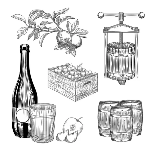 Set Apfelmost Vorhanden Apfelernte Holzkiste Presse Fass Glas Und Mostflasche — Stockvektor