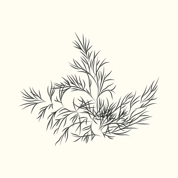 Dill Herb Branch Ink Sketch Isolated Monochrome Food Ingredient Botanical — Stock Vector