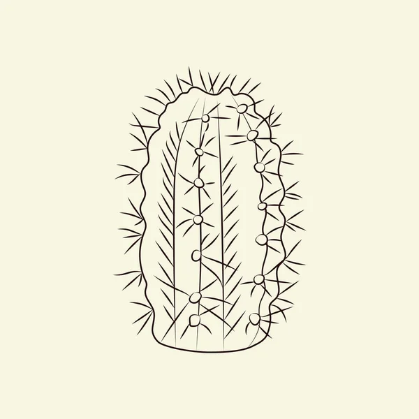 Ručně Kreslený Kaktus Izolovaný Světlém Pozadí Divoký Kaktusík Rytina Stylu — Stockový vektor
