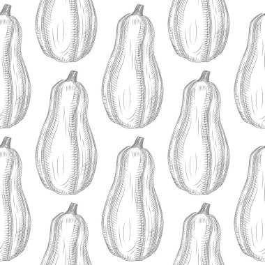 Beyaz arkaplanda kabak deseni var. Tek renkli kabuklu, klasik, sonsuz duvar kâğıdı. Bütün olarak ezin. Ambalaj kağıdı, tekstil baskısı, yüzey fabiği, kapak için tasarlanmış. Vektör illüstrasyonu