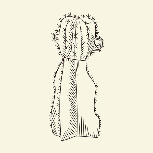 Stenocereus Pruinosus Kaktus Izolovaný Světlém Pozadí Divoký Kaktusík Rytina Stylu — Stockový vektor