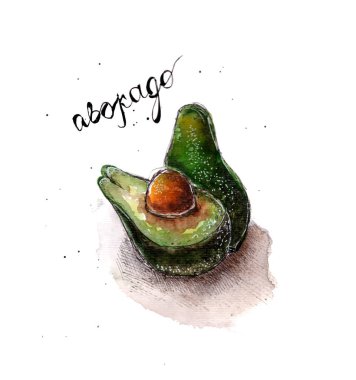 El yapımı suluboya avokado. Vektör