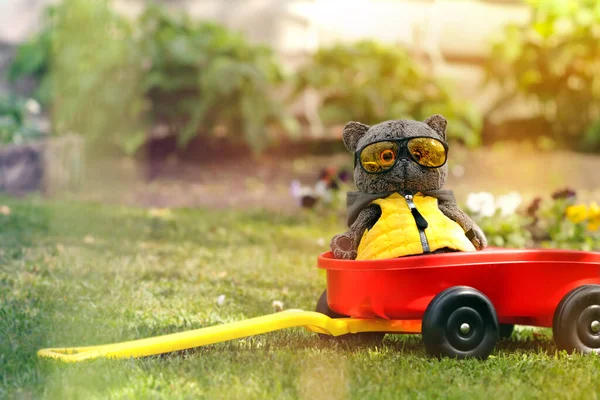 Komik bir oyuncak kedi, sarı güneş gözlüklü ve yelekli güneşli bir çayırda plastik bir arabada oturuyor. Tatil tatili kavramı, çalışma isteksizliği. Metin için alanı kopyala
