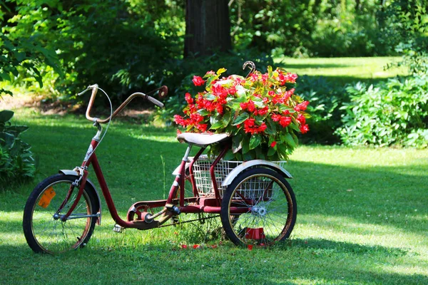 Ein Schöner Alter Blumenkübel Mit Drei Rädern Auf Einem Hellen — Stockfoto