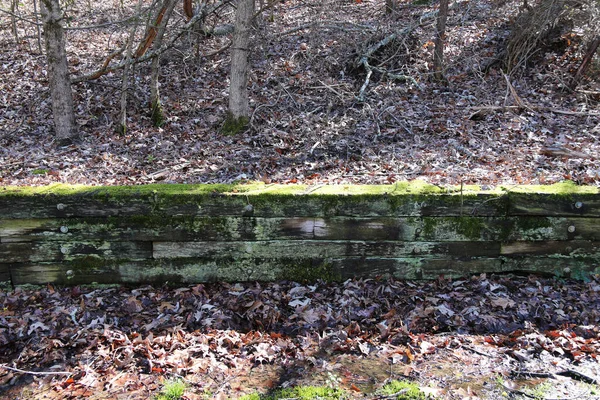 Mossig Trävägg Lantlig Trädgård Landet — Stockfoto