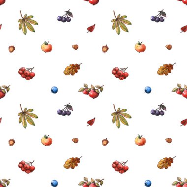 El çizimi suluboya çizimi, sonbahar meyveleri, meyveler ve yaprakların beyaz arka planda izole edilmiş kusursuz deseni. Toplama mevsimi, bahçecilik ve botanik konsepti