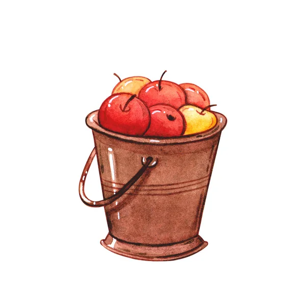白地に隔離された錫のバケツに秋のリンゴの水彩画を手描き 果物狩りの季節のコンセプト — ストック写真