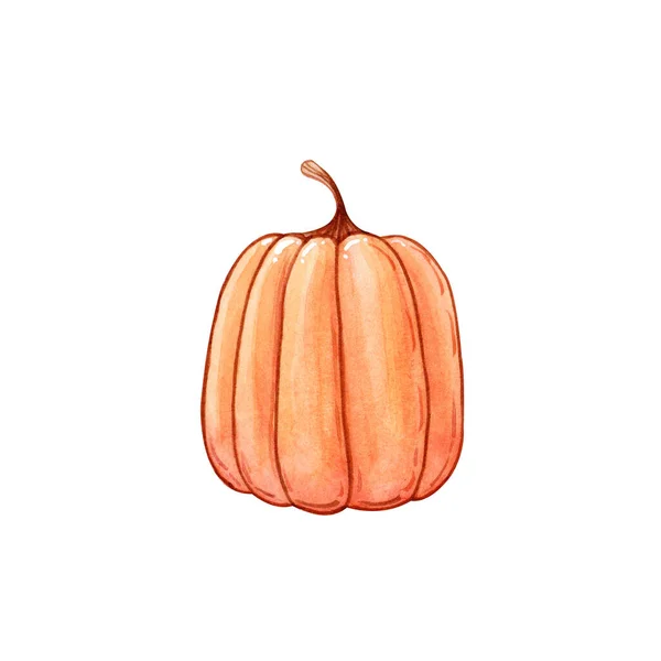 Handgetekende Aquarel Illustratie Van Pompoen Geïsoleerd Wit Herfst Groente Halloween — Stockfoto