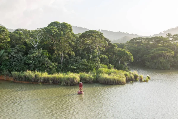 Panama Kanalı'nın yeşil yoğun orman.