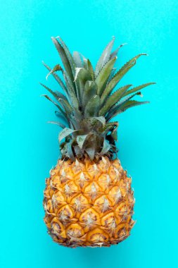 Ananas turkuaz arka plan, yaşam tarzı görüntü üzerinde