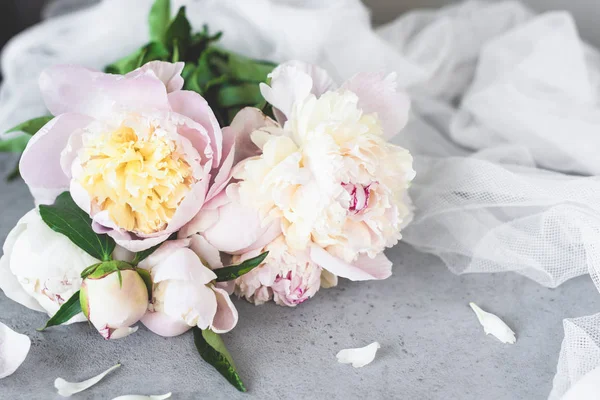 Pembe beyaz Pastel şakayık çiçekleri gri beton zemin üzerine
