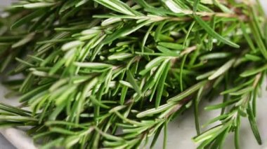 Taze biberiye otlar closeup Görünümü görüntüleri