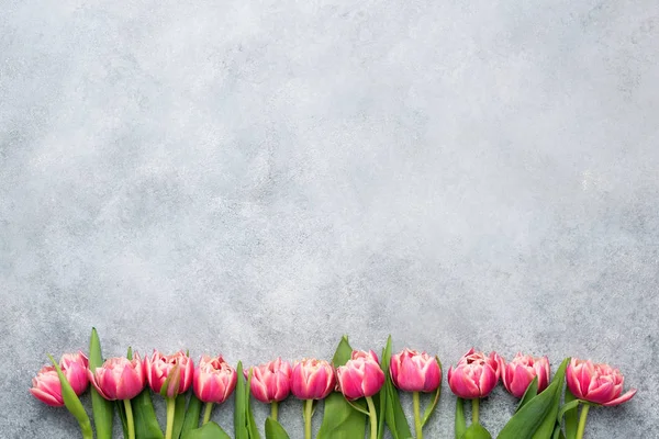 Розовые тюльпаны на сером бетонном фоне Стоковое Фото
