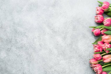 Pembe Şakayık Lale çiçek arka plan