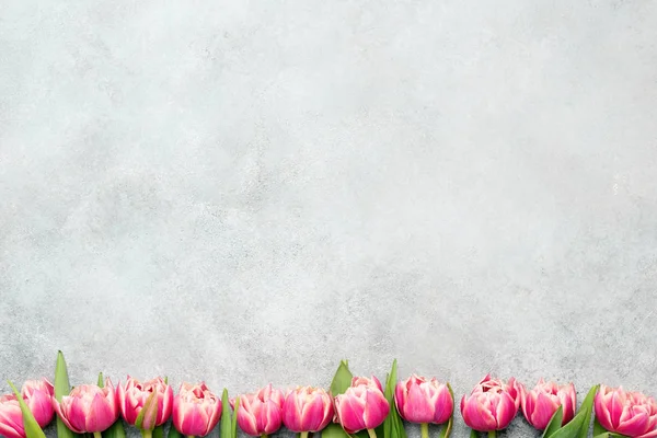 Розовые тюльпаны на сером бетонном фоне Лицензионные Стоковые Изображения