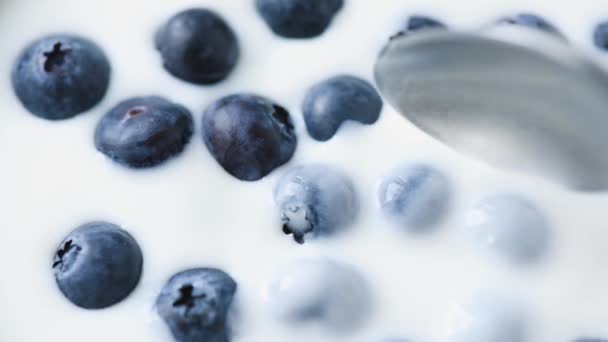 Slow Motion Scooping Yogurt Blueberries Closeup View — Stock Video