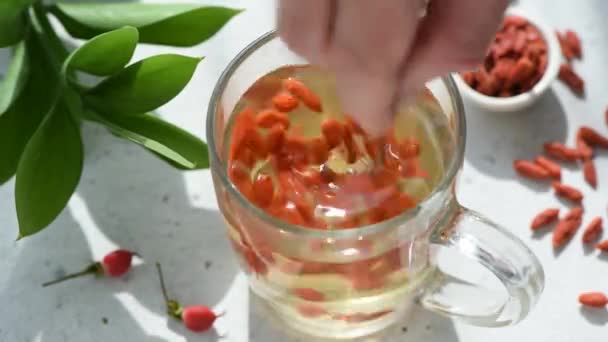 Gojibär Glaskopp Omrörning Frisk Goji Bär Trendig Modern Superfood — Stockvideo