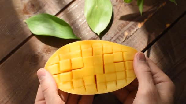 Mango Aperto Mani Maschili Vista Vicino Esotici Tropicale Succosa Frutta — Video Stock