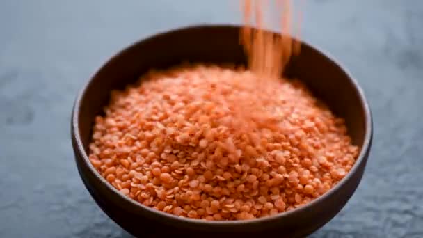 Raw Uncooked Red Lentils Falling Bowl — Stock Video