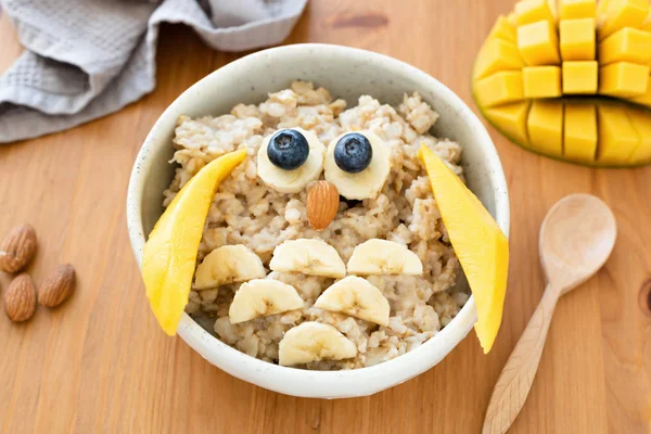 Bambini colazione farina d'avena porridge a forma di gufo carino — Foto Stock