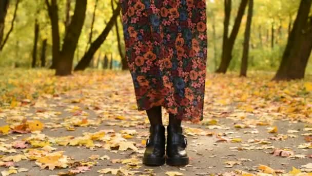 秋天的公园里站着穿着黑色鞋子和五颜六色时髦衣服的时髦女人的腿 黄枫叶 季节全长 — 图库视频影像