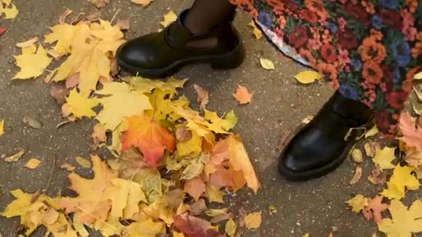 Frauenfüße Trendigen Stiefeln Und Kleid Treten Ahornblätter Auf Die Asphaltstraße — Stockvideo