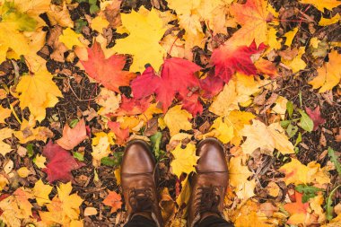 Renkli akçaağaç yaprakları üzerinde deri çizmeli erkek bacakları