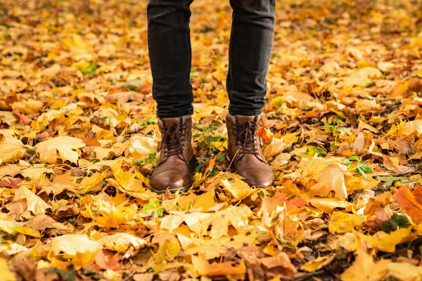 Pernas de Hipster em sapatos castanhos no parque de outono — Fotografia de Stock
