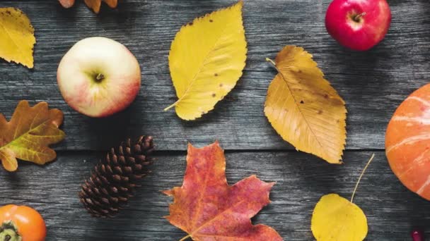 Jesienne Płaskie Ułożenie Kolorowych Liści Dyni Jabłek Sezonowe Elementy Konstrukcyjne — Wideo stockowe
