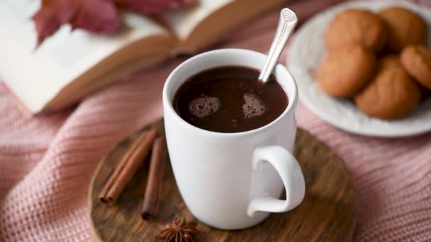 Añadir Malvavisco Una Taza Chocolate Caliente Estilo Vida Acogedor Bebida — Vídeos de Stock