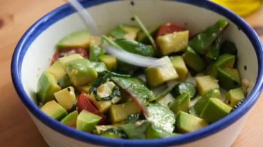 Avokado domates salatalıklı sağlıklı vejetaryen salatası. Yeşil Salata yemek